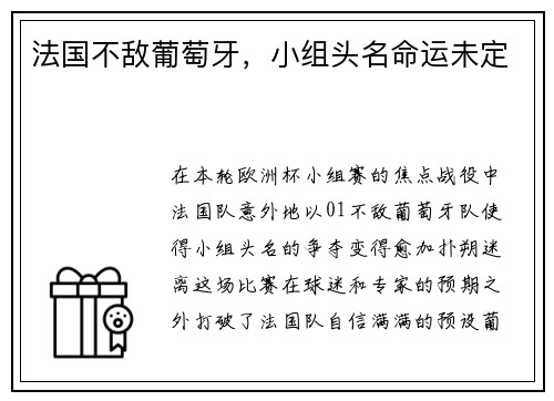 法国不敌葡萄牙，小组头名命运未定
