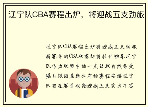 辽宁队CBA赛程出炉，将迎战五支劲旅